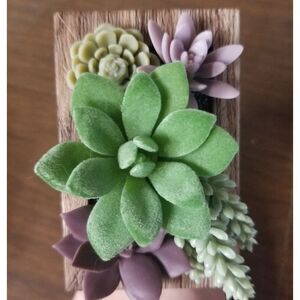 Succulents Wallflower Bath and Body Works